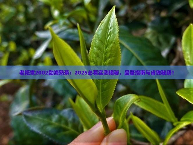 老班章2002勐海熟茶