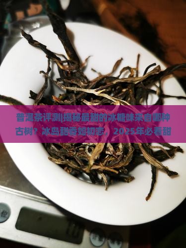 普洱茶里最甜的茶是哪种