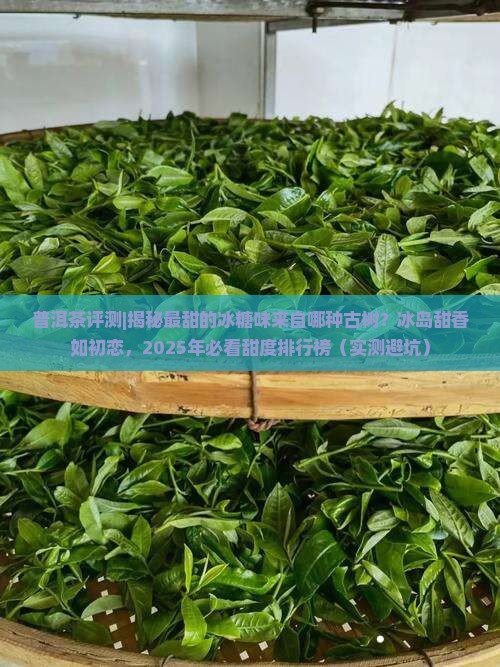 普洱茶里最甜的茶是哪种