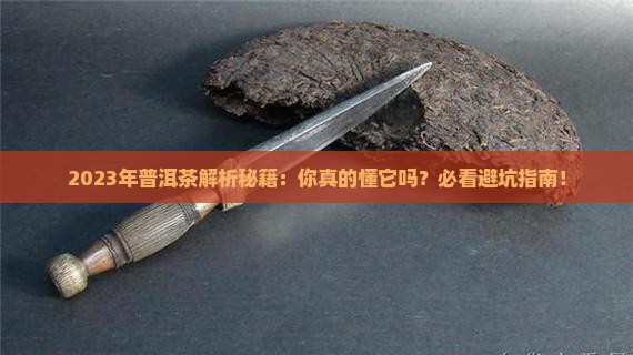 2023年普洱茶走势怎样
