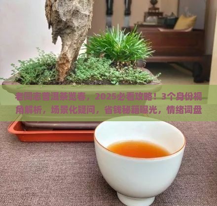 老同志普洱茶览春