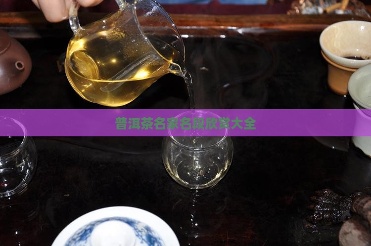 普洱茶名家名段欣赏