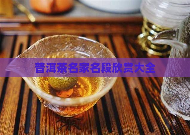 普洱茶名家名段欣赏