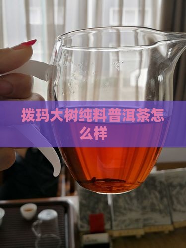 拨玛大树纯料普洱茶