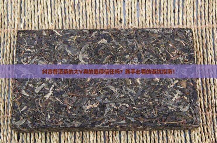 抖音普洱茶的大v