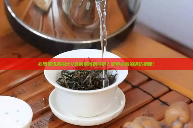 抖音普洱茶的大v