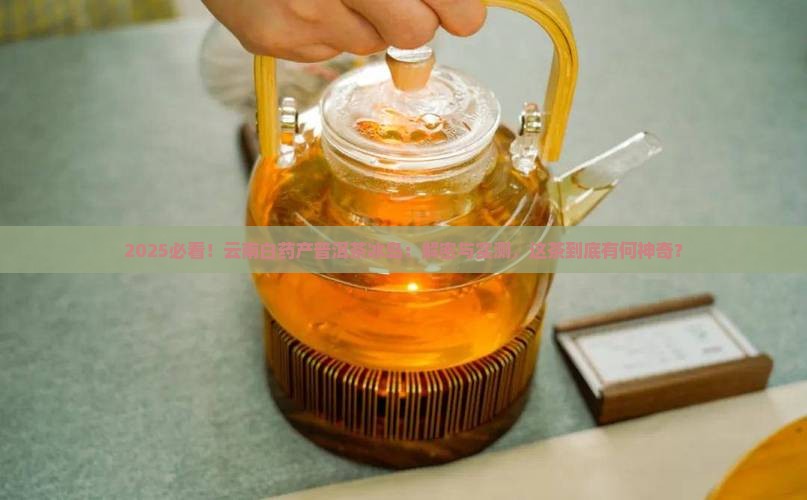 云南白药产普洱茶冰岛