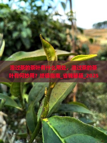 泡过茶的茶叶有什么用处
