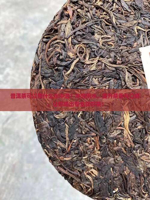 普洱茶可以用什么水冲泡