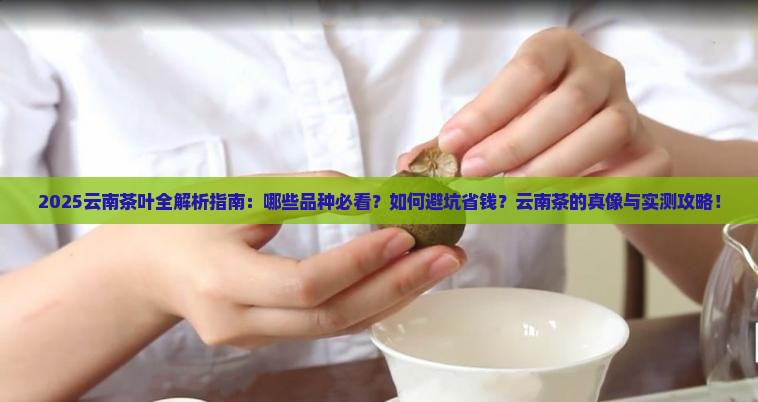 云南有哪些茶叶