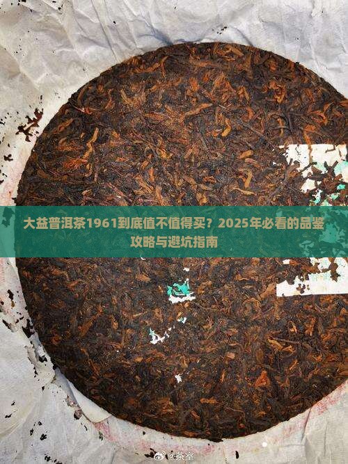 大益普洱茶1961
