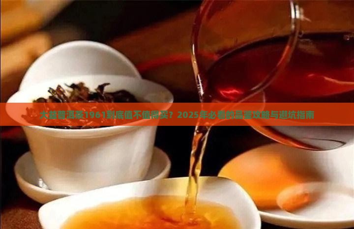 大益普洱茶1961