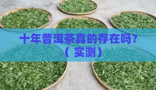真的有十几年的普洱茶吗