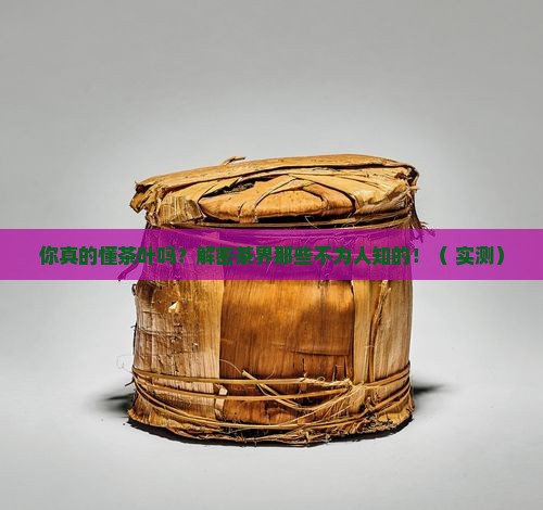 播放关于茶叶的知识