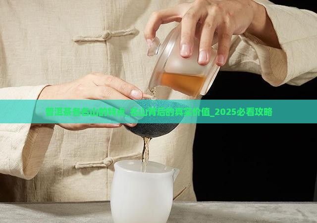 普洱茶各名山的特点