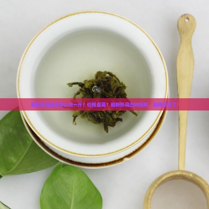曼松普洱生茶多少钱一斤