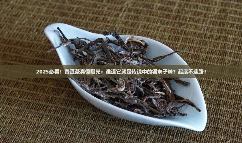 普洱茶就是锯末子味