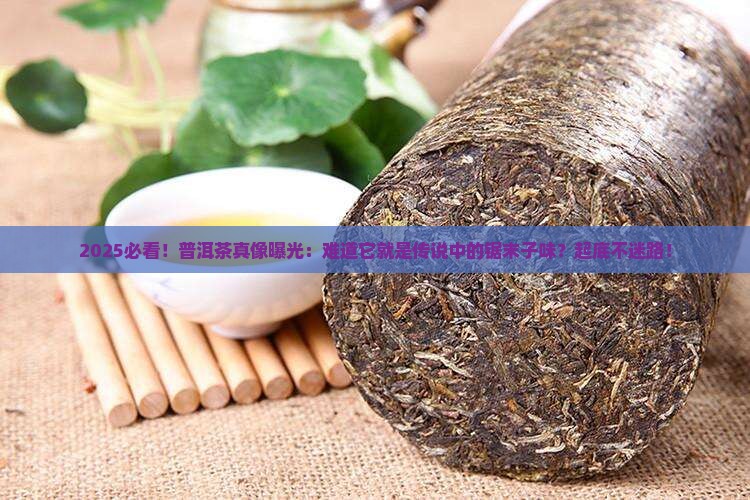 普洱茶就是锯末子味