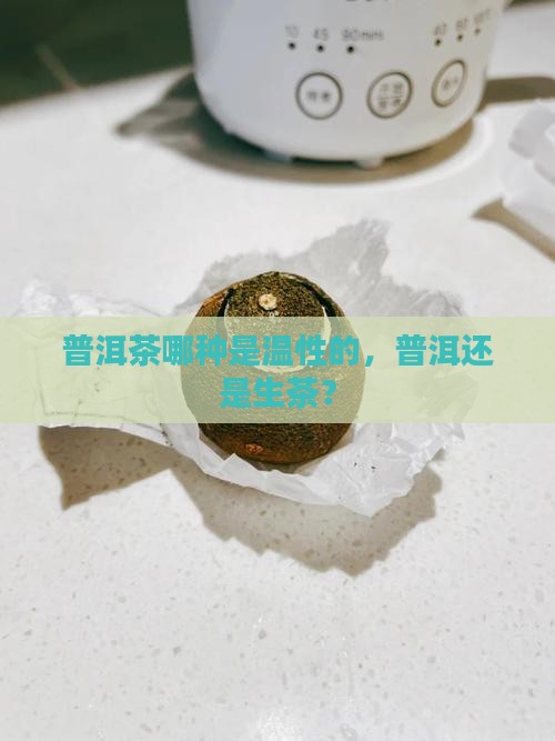 普洱茶哪种是温性的