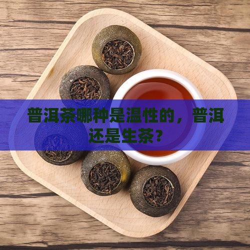 普洱茶哪种是温性的