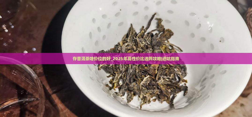 存普洱茶啥价位的好