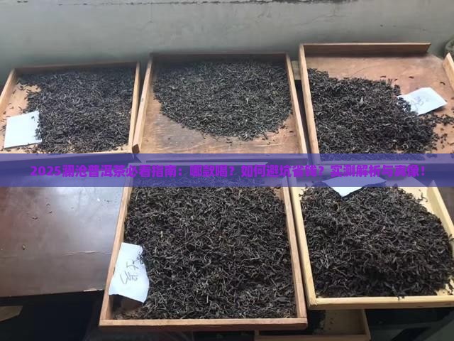 澜沧哪款普洱茶好喝一点