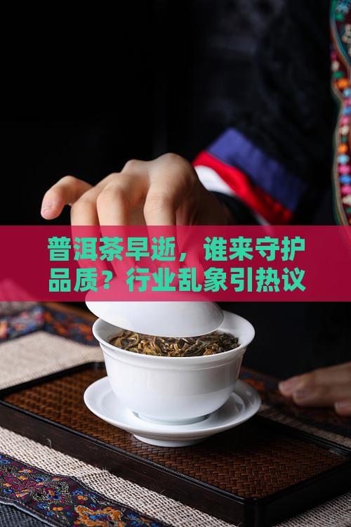 普洱茶品牌创始人早逝