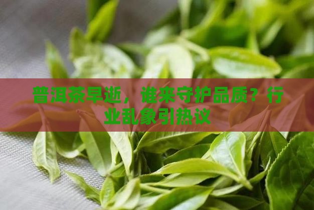 普洱茶品牌创始人早逝