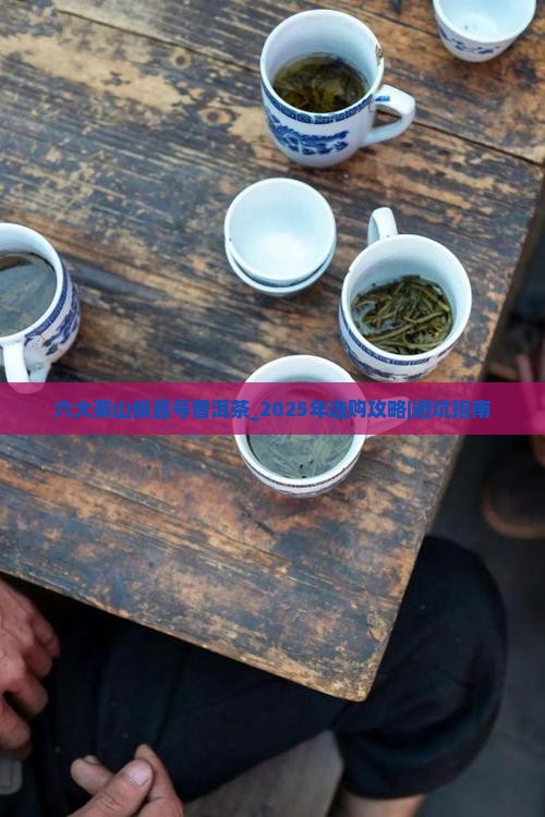 六大茶山俊昌号普洱茶