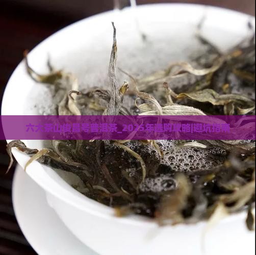六大茶山俊昌号普洱茶