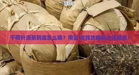 干荷叶泡茶的用量