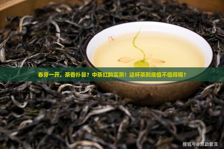 中茶红韵春芽开汤评测