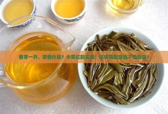 中茶红韵春芽开汤评测