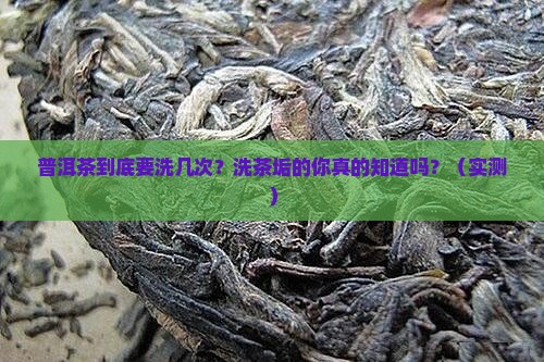 普洱茶应该洗几次茶垢呀