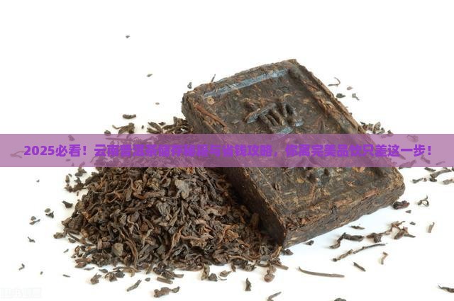 云南普洱茶怎么样储存