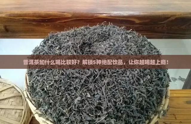 普洱茶加什么喝比较好