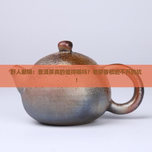 野人献曝我的另类普洱茶观