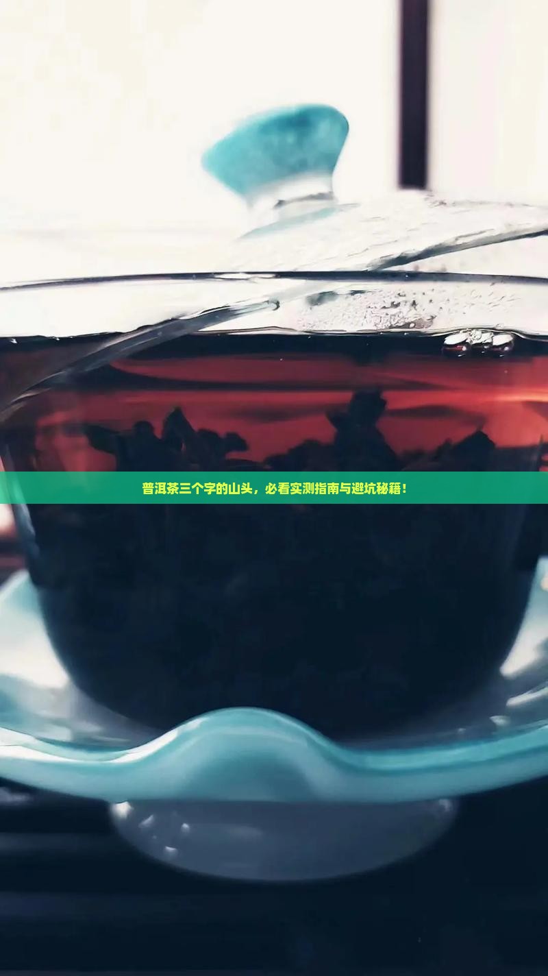 普洱茶三个字的山头