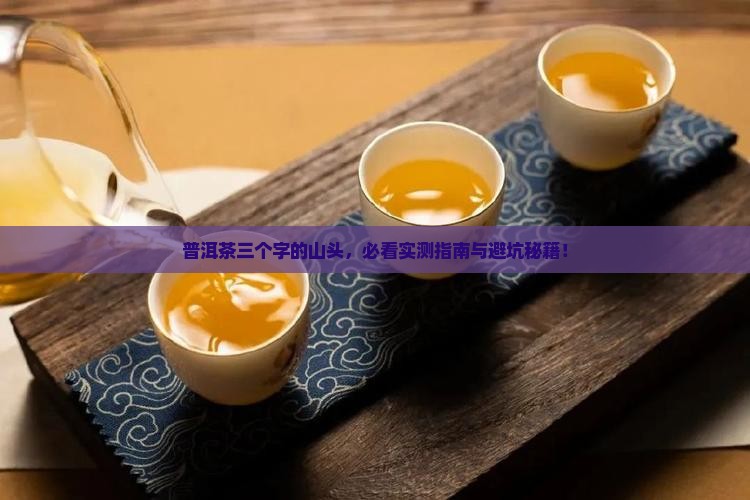 普洱茶三个字的山头