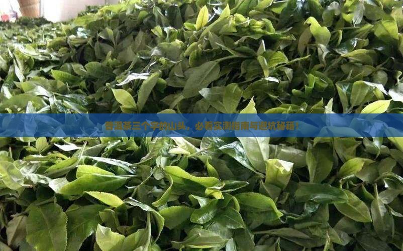 普洱茶三个字的山头