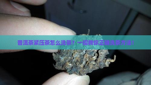 普洱茶紧压茶怎么洗茶