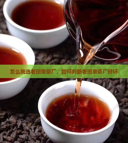 怎么挑选老班章茶厂