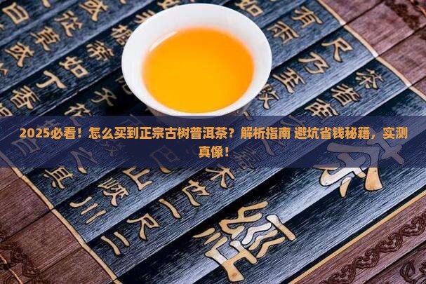 怎么买到正宗古树普洱茶