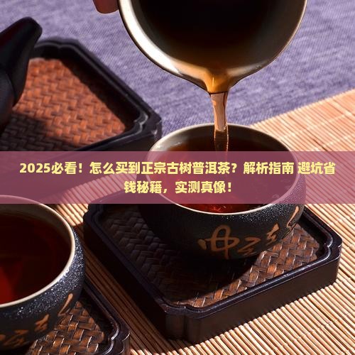 怎么买到正宗古树普洱茶