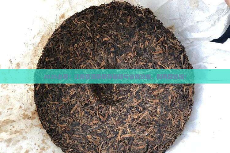 普洱茶在江南如何保存