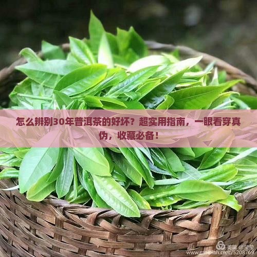 怎么辨别30年普洱茶的好坏