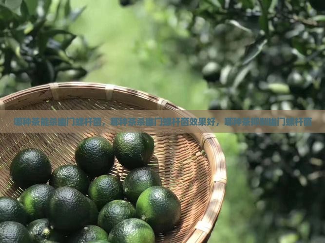 哪种茶能杀幽门螺杆菌 哪种茶能杀幽门螺杆菌
