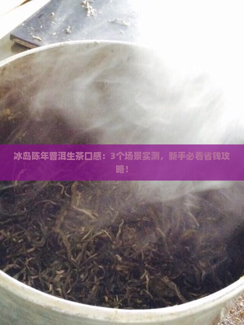 冰岛陈年普洱生茶口感