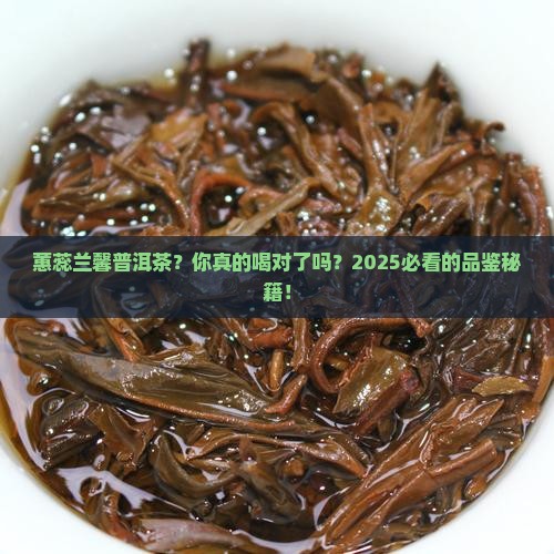 蕙蕊兰馨普洱茶