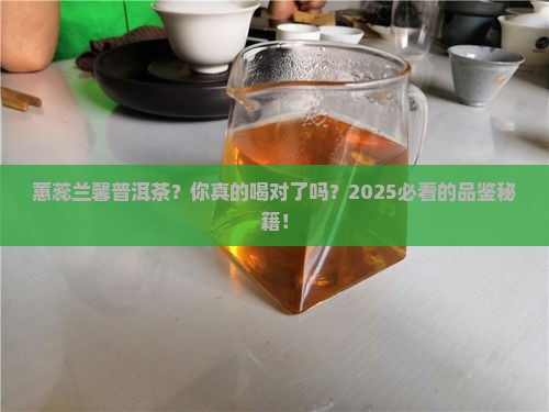 蕙蕊兰馨普洱茶